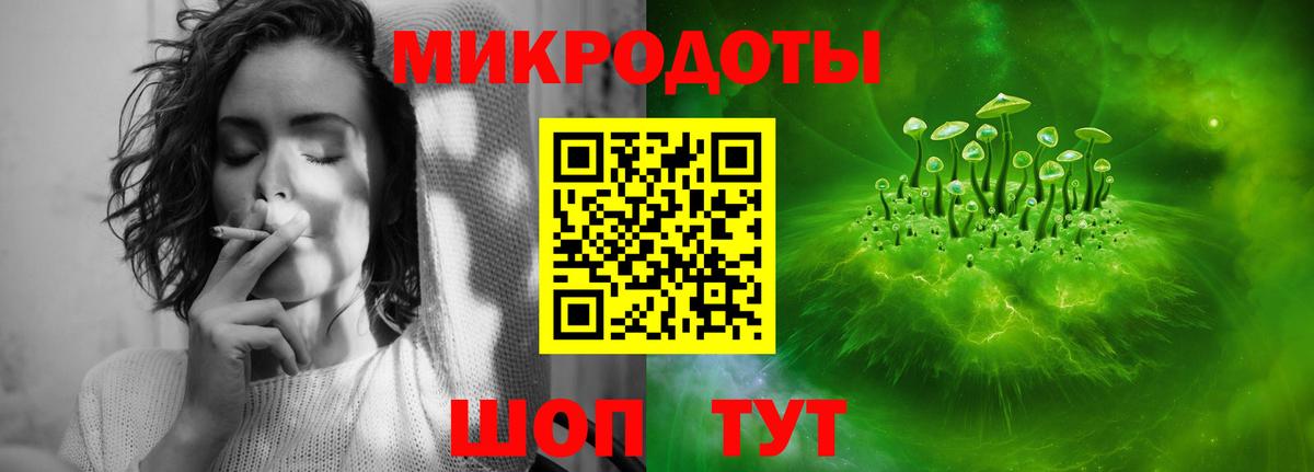Луга  Галлюциногенные грибы ЛСД  Вход с VPN  Псилоцибиновые грибы Cubensis 